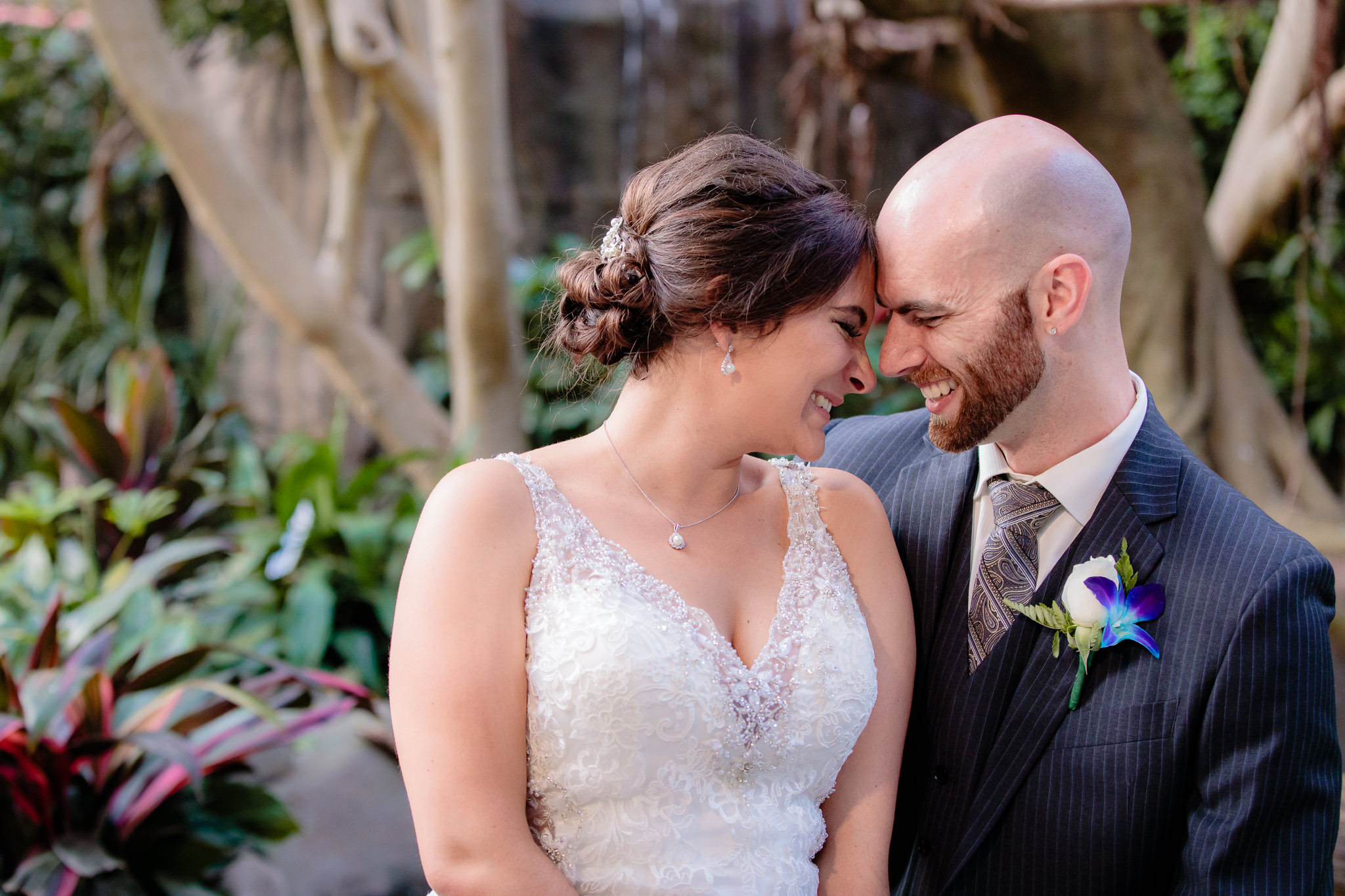 Bride & groom laugh together in the Tropical Rainforest at the National Aviary