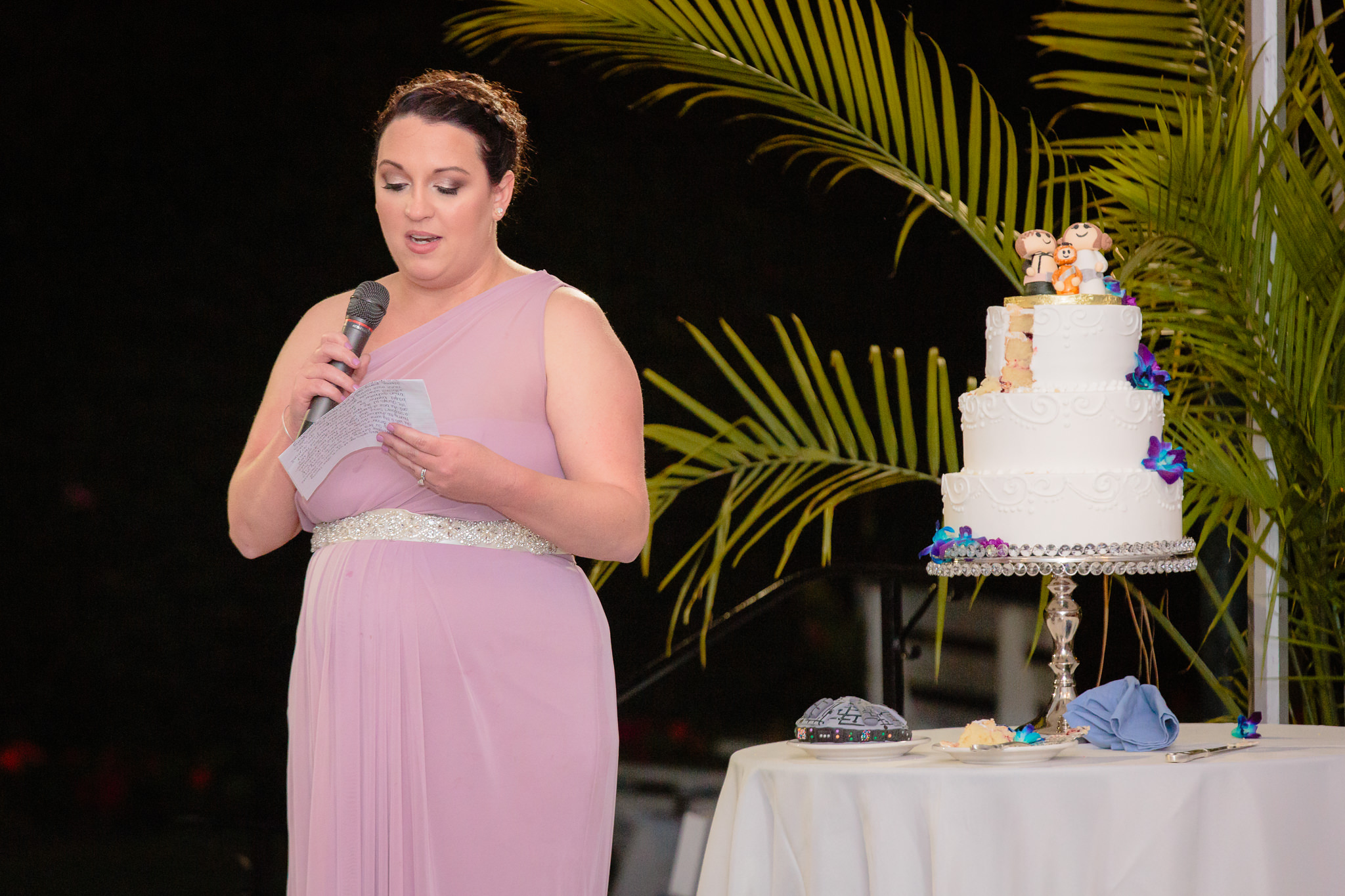 Maid of honor gives a speech at a National Aviary wedding reception