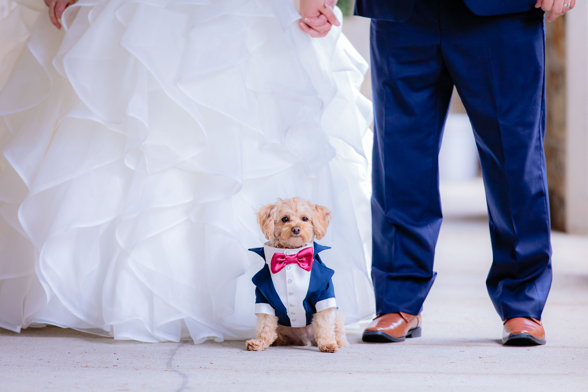 The bride and groom and their puppy all dressed up for the wedding at Mt. Lebanon United Methodist Church