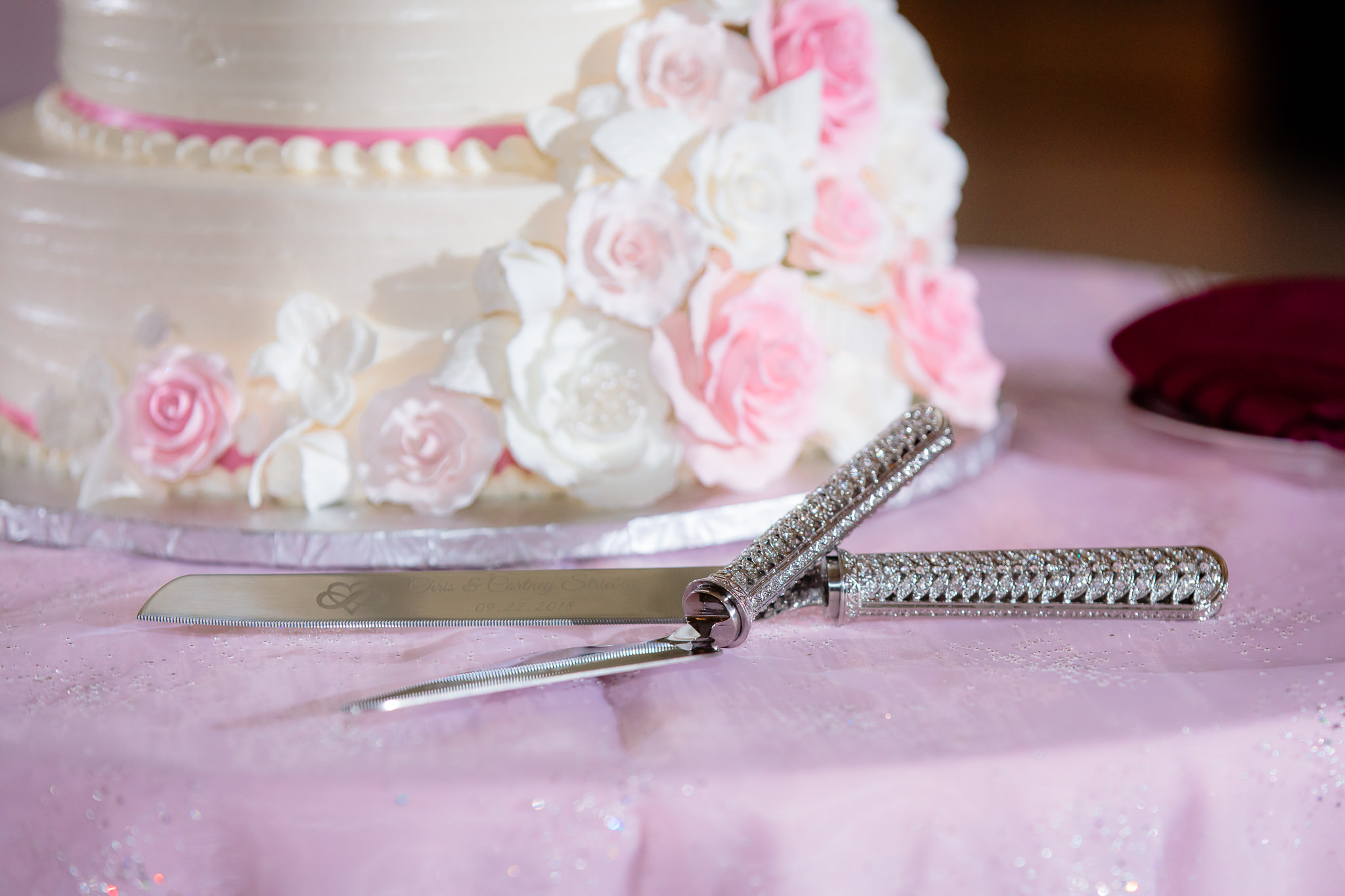 Jeweled cake knife and pink and white cake done by Rania's Catering at the Pennsylvanian